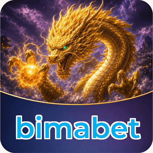 Privacy & Security bimabet